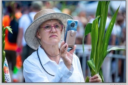 4Daagse_Nijmegen_dag4_21