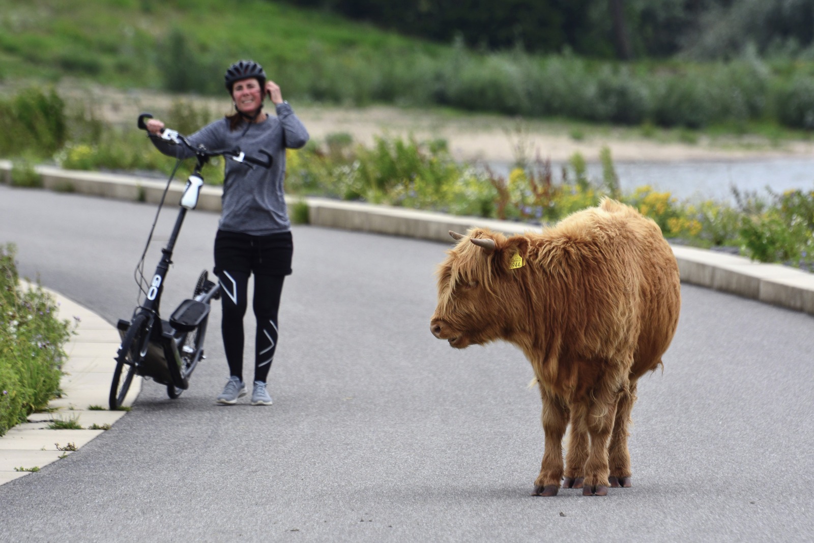 Bisonbaai Ooij Nijmegen