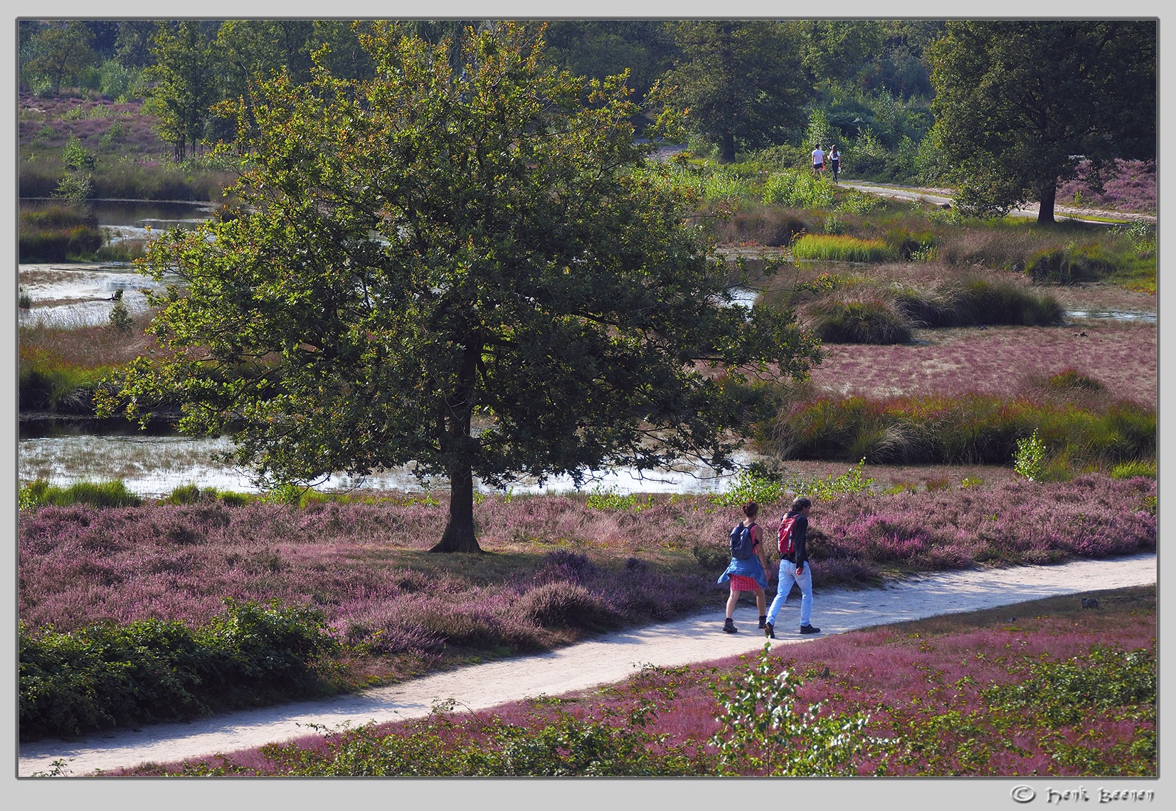 Hatertse vennen augustus 2021