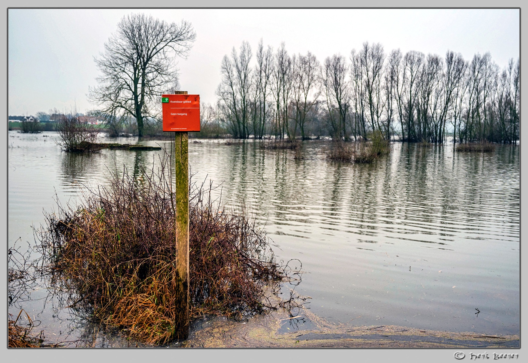Hoog water in Nijmegen januari 2025
