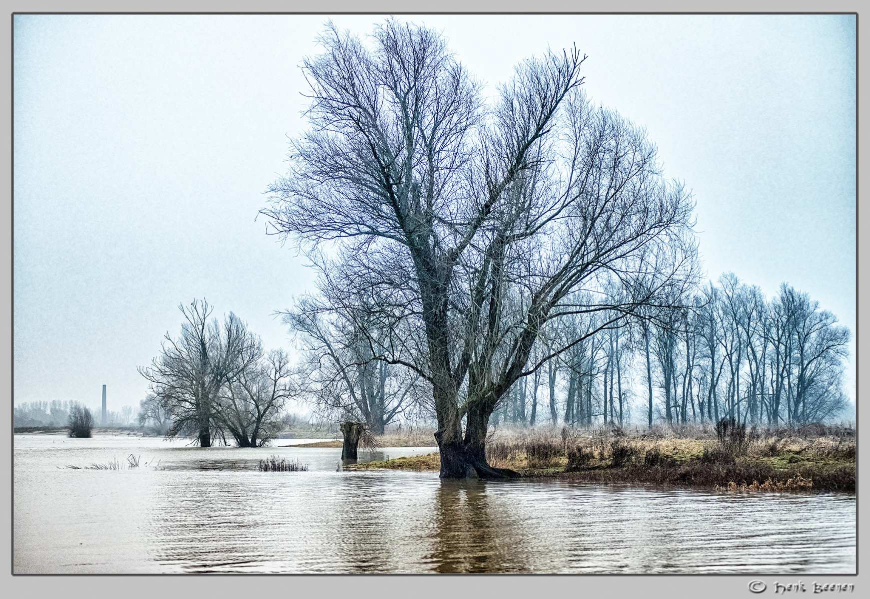 Hoog water in Nijmegen januari 2025