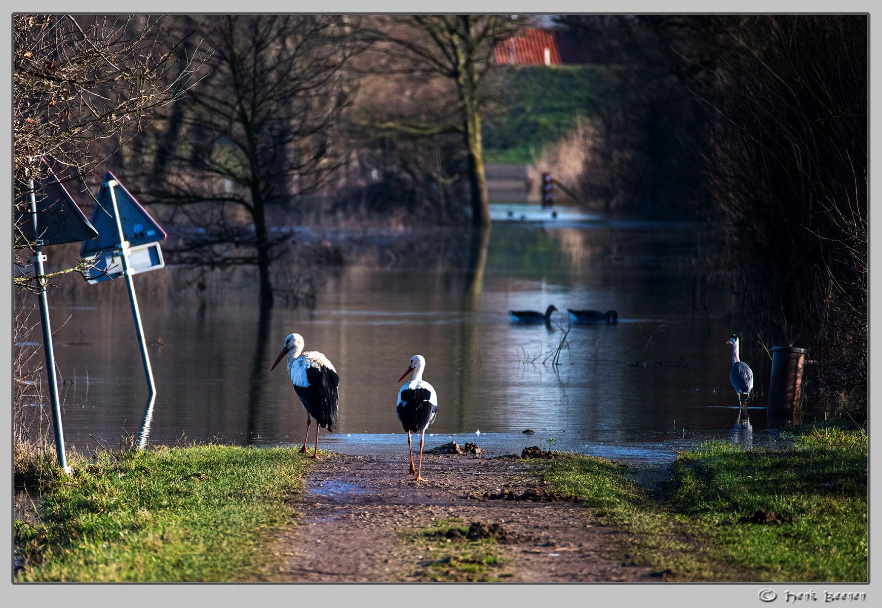Hoog water in Nijmegen januari 2025