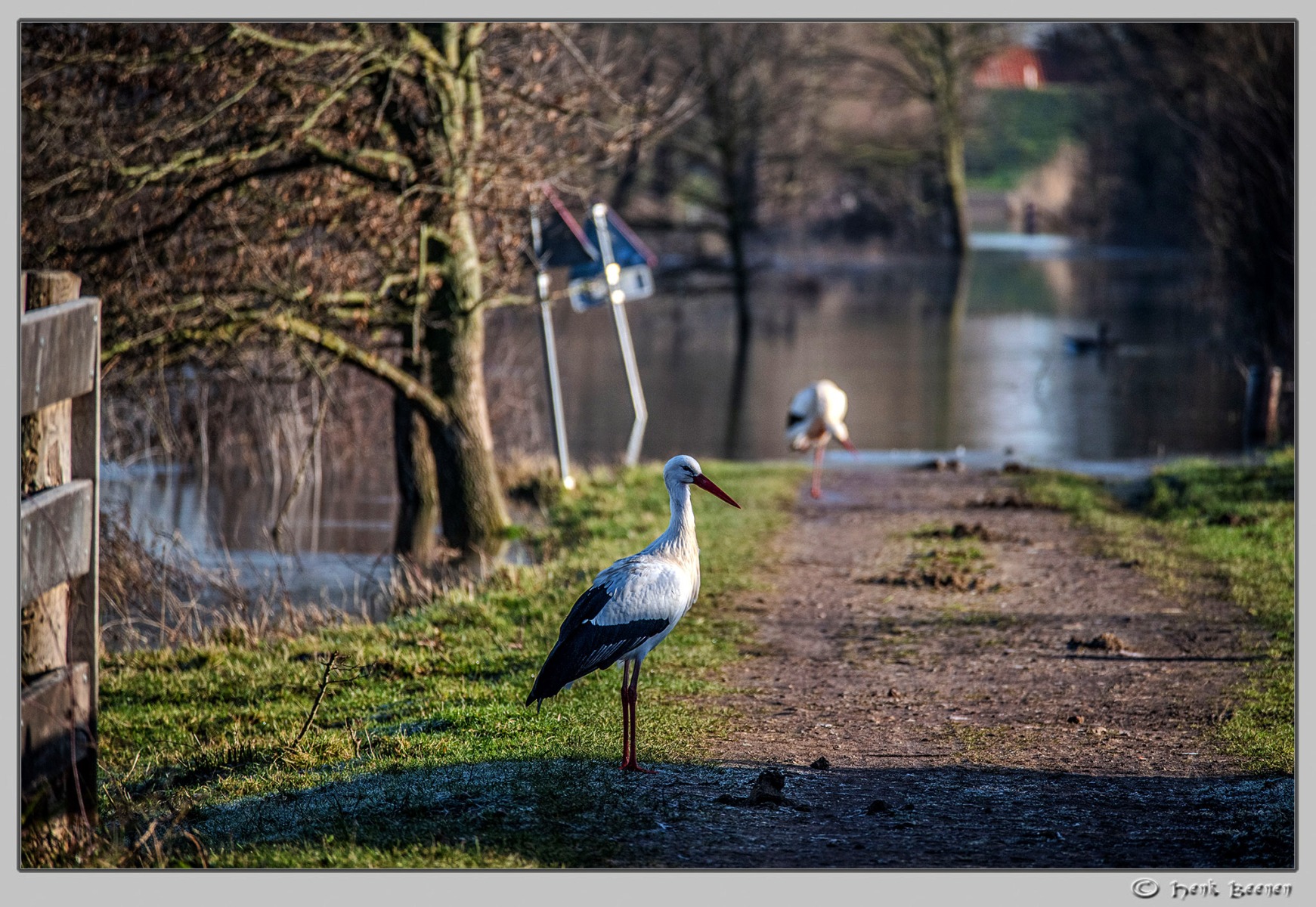 Hoog water in Nijmegen januari 2025