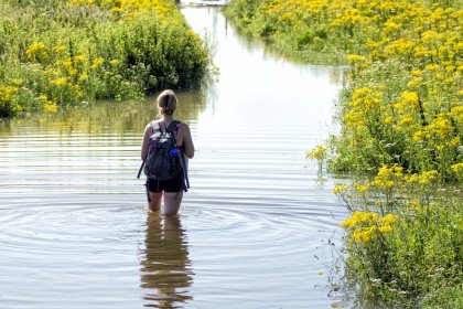 Hoog water in de zomer bij Nijmegen