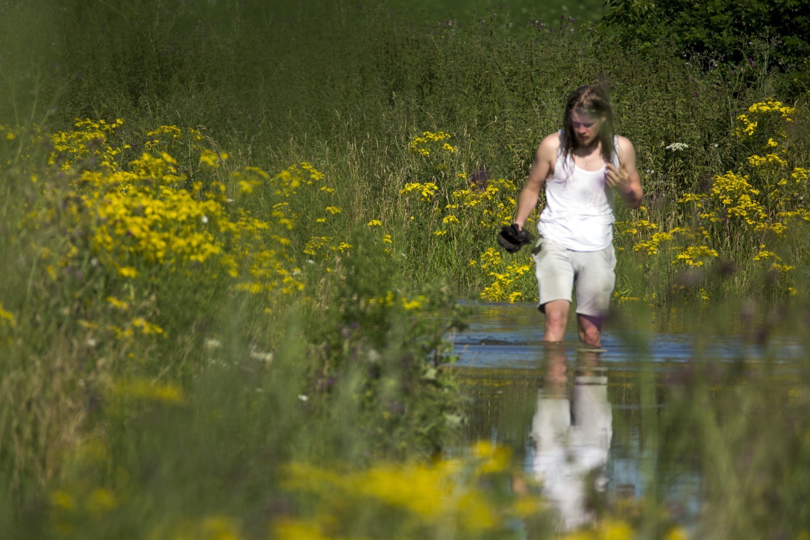 Hoog water in de zomer bij Nijmegen