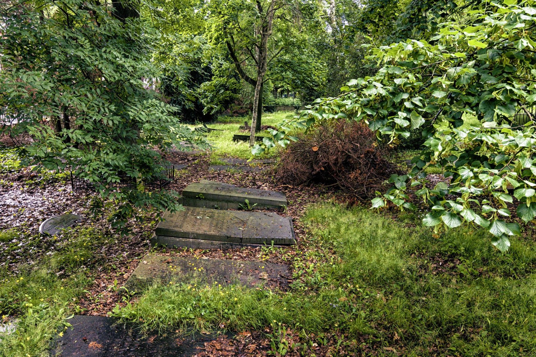 Julianapark Nijmegen