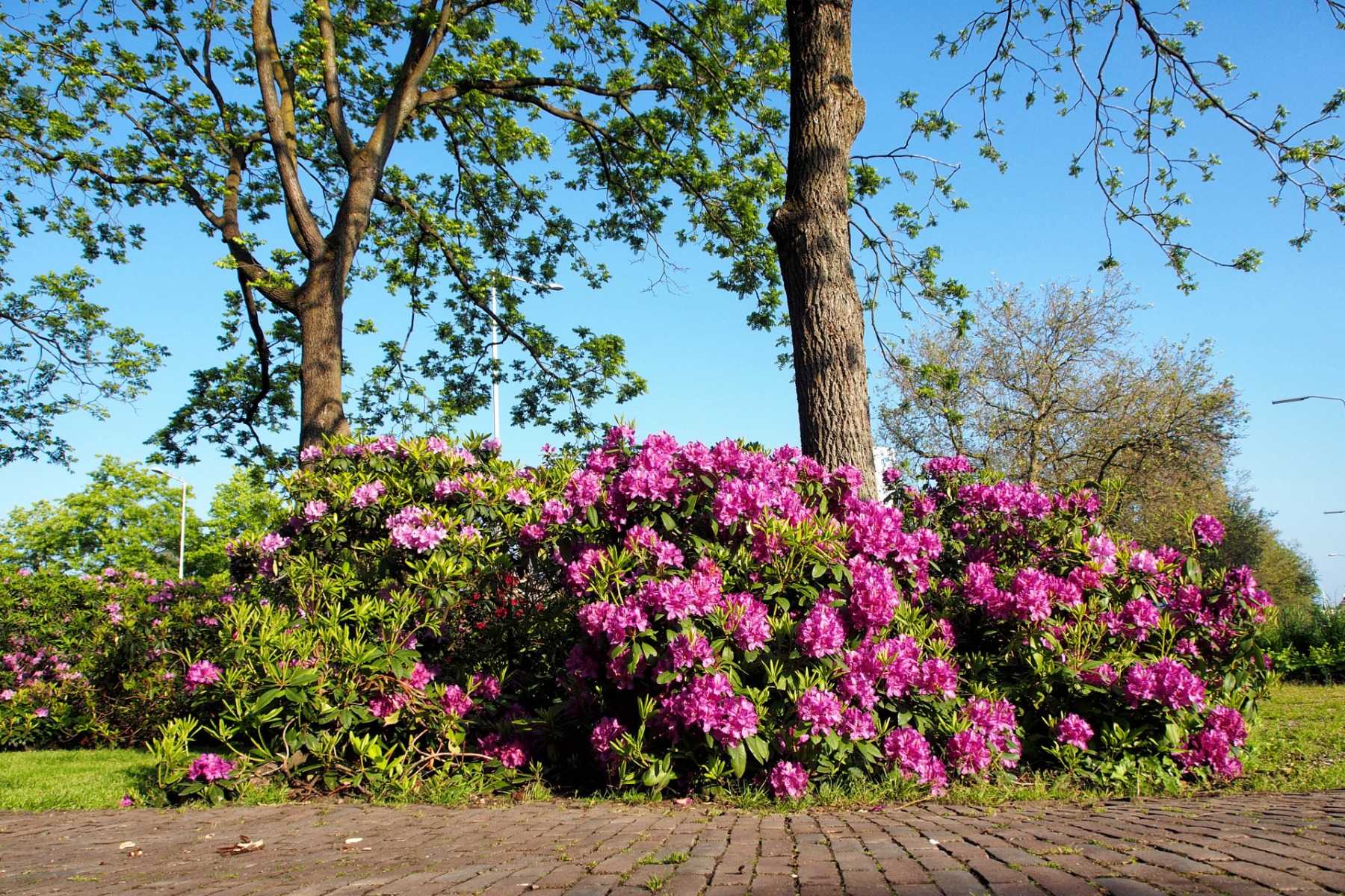 Keizer Karelplein Nijmegen