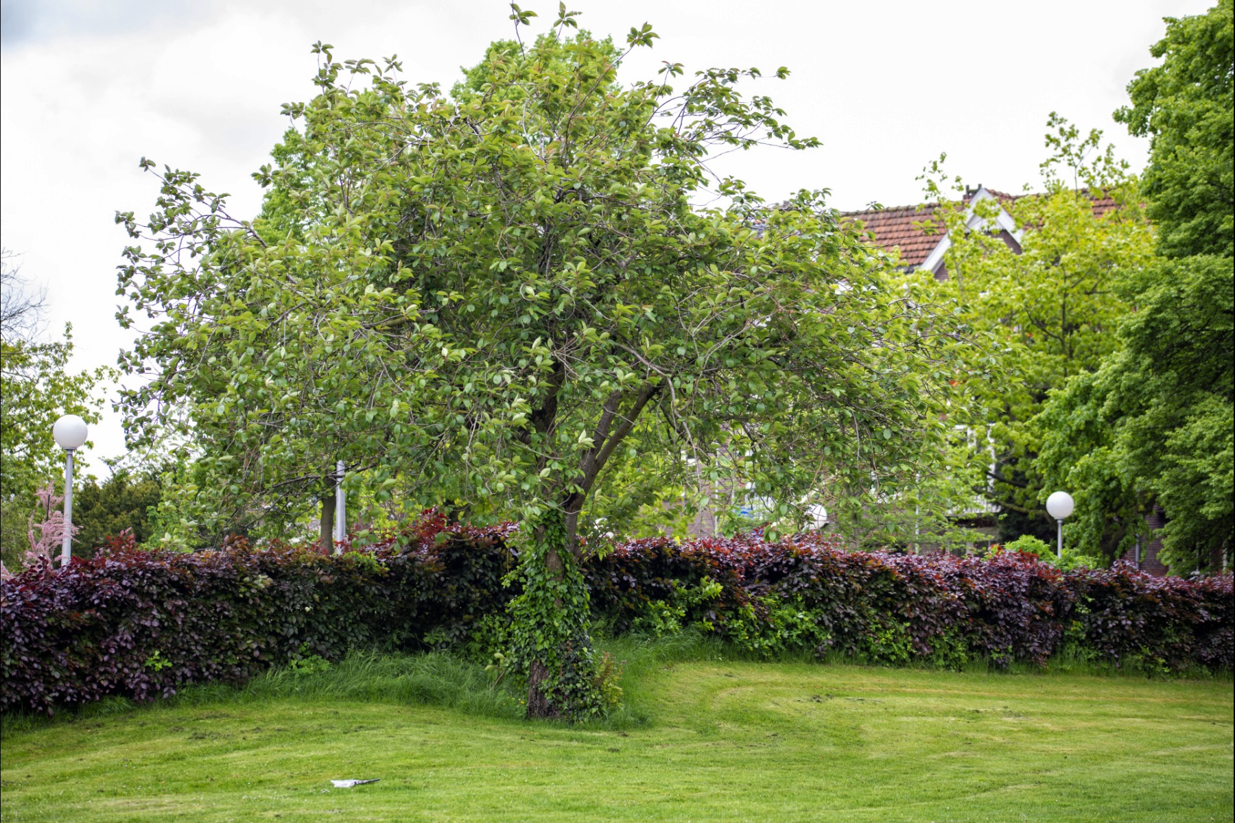 Vrouwendael Nijmegen