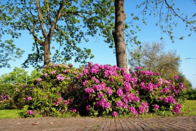 Keizer Karelplein Nijmegen