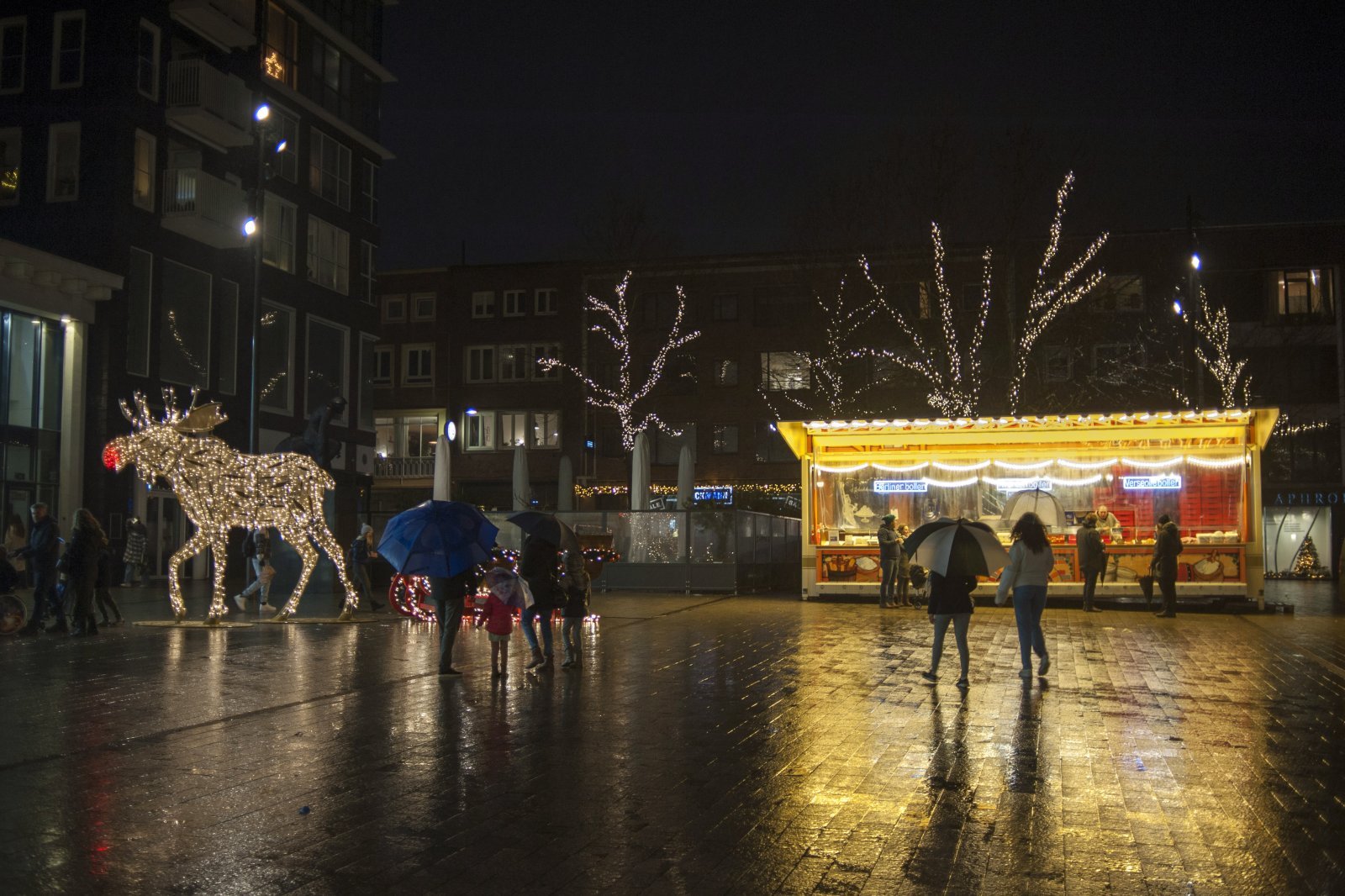 Nijmeegse Winterweken