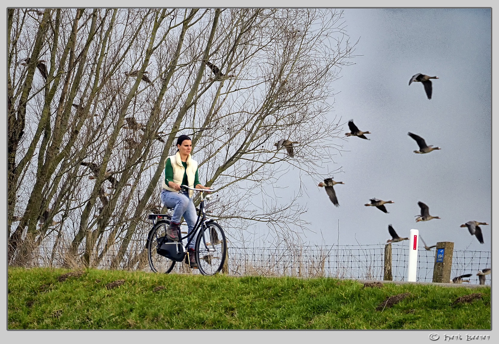 De Ooij bij Nijmegen
