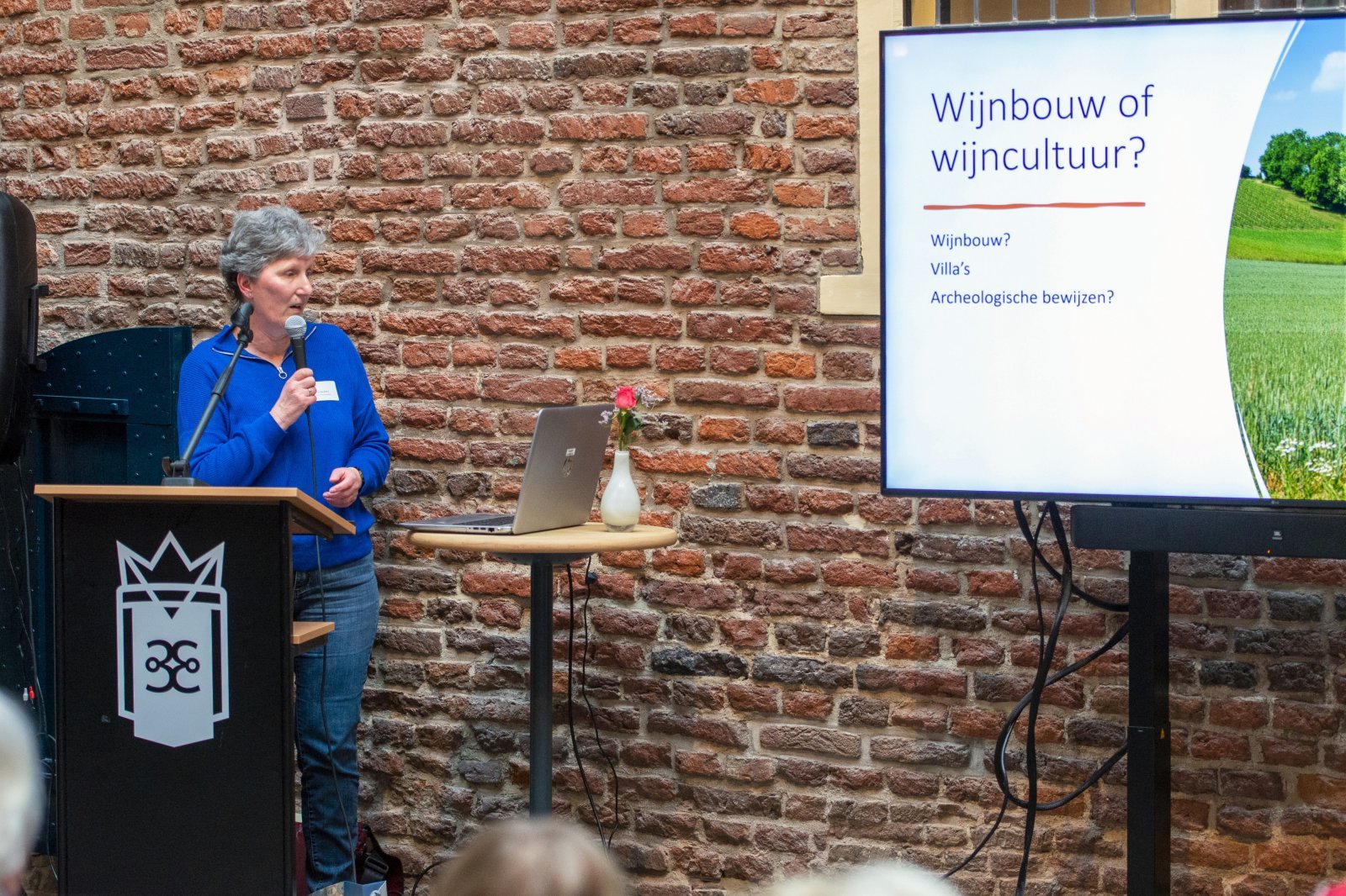 Romeinendag in Wijchen 2023
