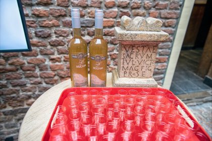 Romeinendag in Wijchen 2023
