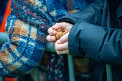 Intocht Sinterklaas in Nijmegen 2023