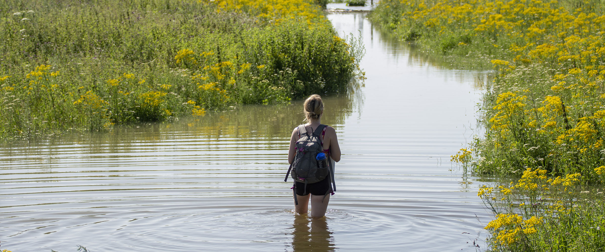 Hoog water in de zomer in Nijmegen