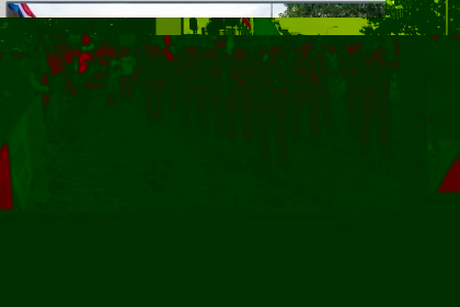 4Daagse_Nijmegen_dag4_75