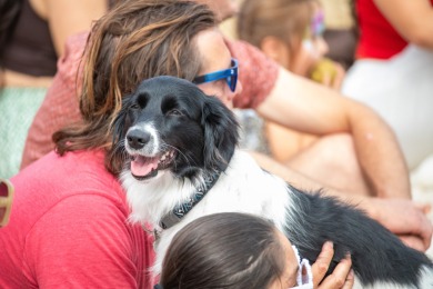4Daagsefeesten Stek donderdag