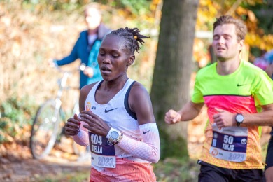 7Heuvelenloop Nijmegen 2023