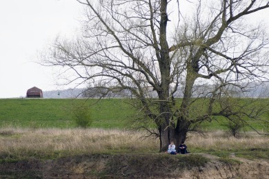 Bisonbaai Ooij Nijmegen