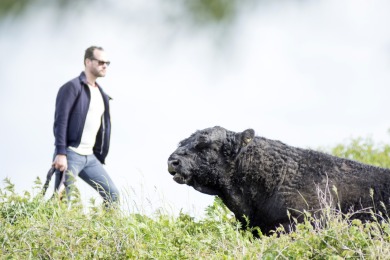 Bisonbaai Ooij Nijmegen