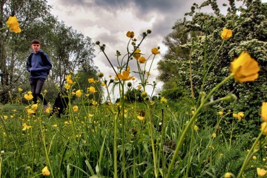 Bisonbaai Ooij Nijmegen