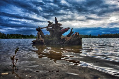 Bisonbaai Ooij Nijmegen