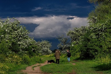 Bisonbaai Ooij Nijmegen