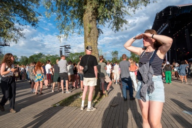 Down The Rabbit Hole - Zaterdag