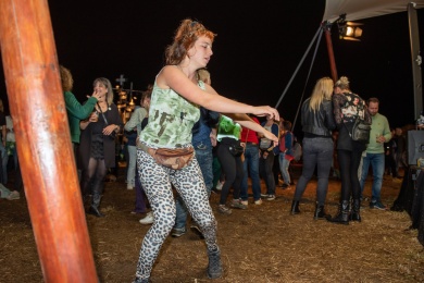 Festival op 't eiland  - donderdag | de Swing