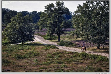 Hatertse vennen augustus 2021