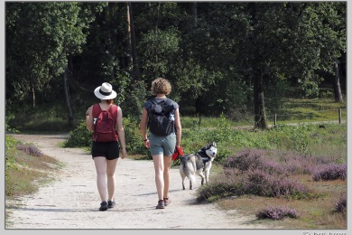 Hatertse vennen augustus 2021