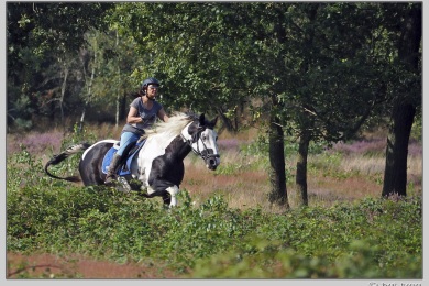 Hatertse vennen augustus 2021