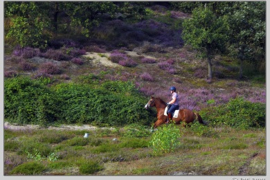 Hatertse vennen augustus 2021