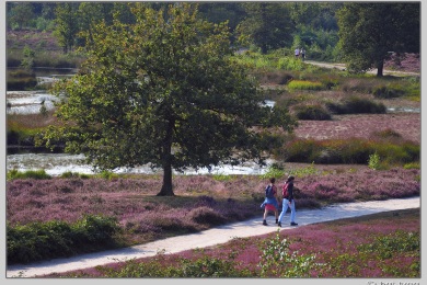 Hatertse vennen augustus 2021