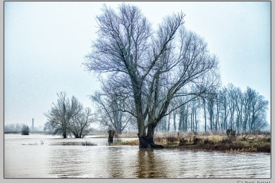 Hoog water in Nijmegen januari 2025