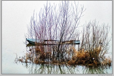 Hoog water in Nijmegen januari 2025