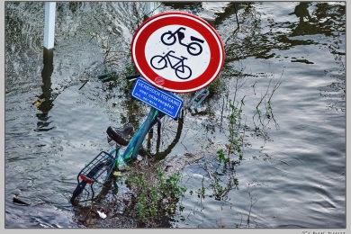Hoog water in Nijmegen januari 2025