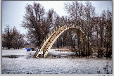Hoog water in Nijmegen januari 2025