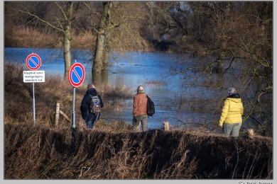 Hoog water in Nijmegen januari 2025