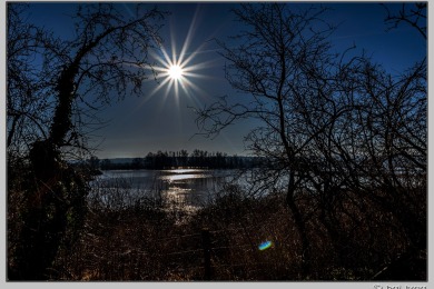 Hoog water in Nijmegen januari 2025