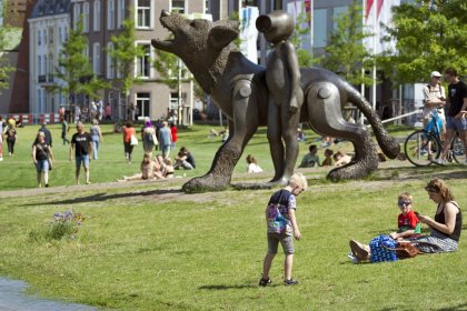 Hoog water in de zomer bij Nijmegen