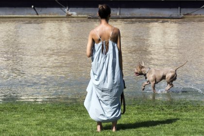 Hoog water in de zomer bij Nijmegen