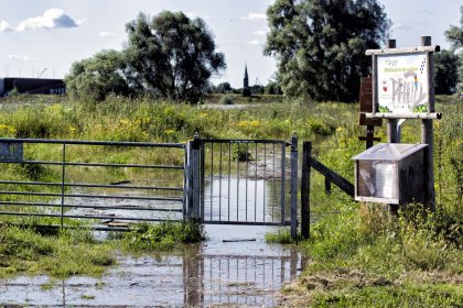 Hoog water in de zomer bij Nijmegen
