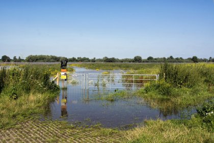 Hoog water in de zomer bij Nijmegen