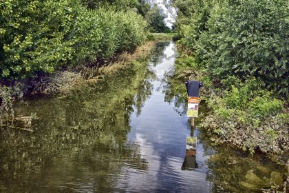 Hoog water in de zomer bij Nijmegen