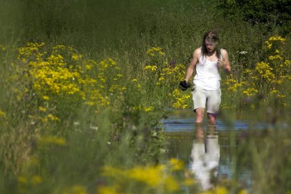 Hoog water in de zomer bij Nijmegen