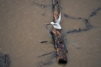 Hoog water in de zomer bij Nijmegen