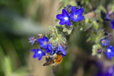 Groene perron Nijmegen