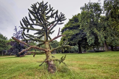 Julianapark Nijmegen