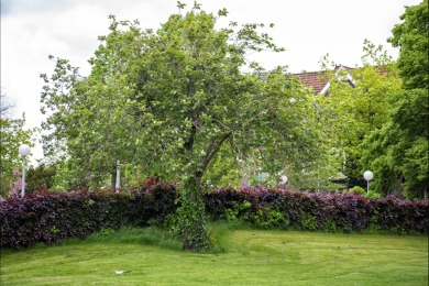 Vrouwendael Nijmegen